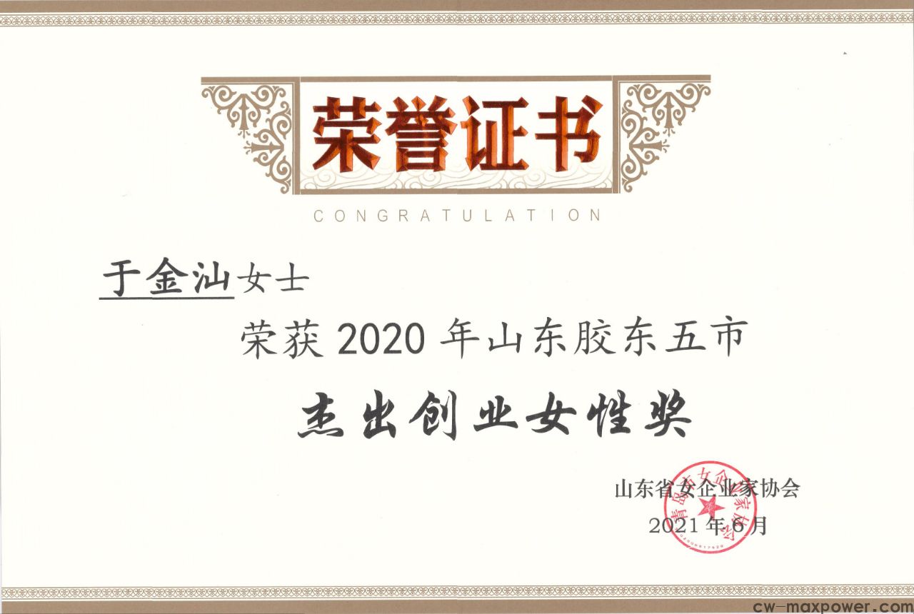 喜報！于金汕總經(jīng)理榮獲2020年山東膠東五市杰出創(chuàng)業(yè)女性獎(圖2)